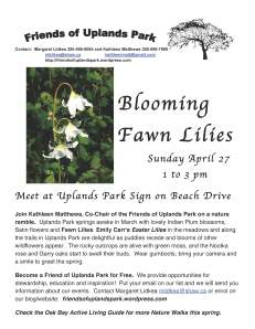 2014 Blooming Fawn Lilies posterREV