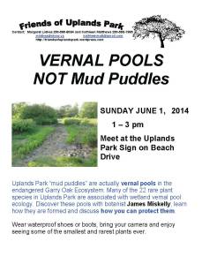 2014 Vernal Pool poster