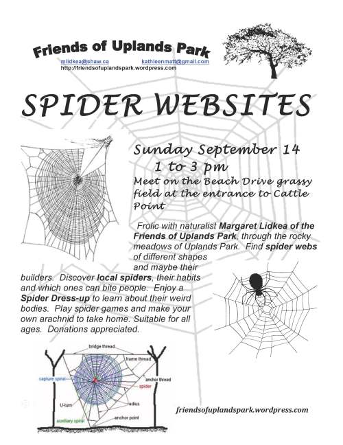 2014 Spider Websites poster