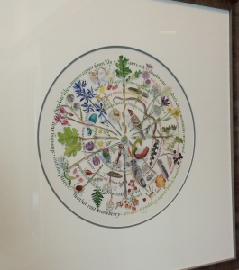 Briony's Seasonal  Wheel at City Hall IMG_3919