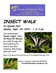2015 INSECT WALK poster (00000002)